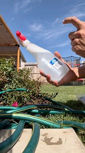 La fórmula secreta que me dieron ustedes 🙏‼️ Esperemos y si salga la cosecha 🪴‼️ | Soy Sergio Gaytan