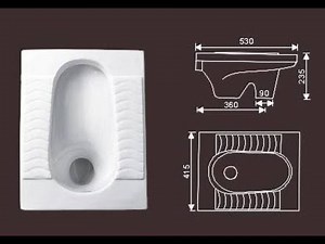 The dreaded Asian squat toilet....