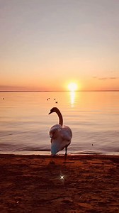 120 reactions · 32 shares | Secret Garden - Make A Wish | Romantic Love Songs | Facebook