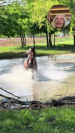 Watch Her Gallop Through the Water #horseriding #adrenaline #shorts