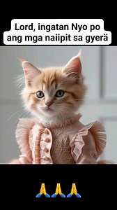 Ingatan nyo po sila, Lord. #prayer #worldpeace #peace #stopwar #stopthewar #LoveOneAnother #TrustGod #panalangin | Bay Bisdak