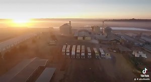 Our fleet of trucks lined up at the mill, ready to deliver top-notch feeds that drive your success. 🚚🌾 • • • • • #alzufeedshereforyou #alzu #alzufeeds #farmerlife #farmers #country #farming #feed #feedforanimals #farmlife #alzufleet #trucks #delivery #qualityfeed | ALZU Feeds