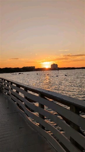 Sunsets at Ballast Point are Awesome! | South Tampa is Awesome