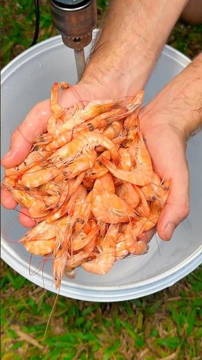 How shrimp 🦐 paste is made!