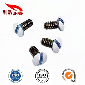 [Hot Item] Slotted Cheese Head Screws Slotted Round Head Screws Stoving Varnish Screw