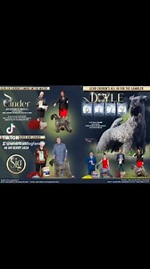 CHERON KERRY BLUE TERRIERS DOYLE GCHB Cheron's All in for the Gambler #1 KERRY BLUE TERRIER NOHS #6 KERRY BLUE TERRIER (Breed) #7 KERRY BLUE TERRIER (all breed) SIG GCH Cheron's Locked and Loaded #6 KBT NOHS MULTI BEST IN SHOW NOHS MULTI RESERVE BEST IN SHOW NOHS MULTIPLE GROUP PLACING CINDER GCHS Cheron's Smoke On the Water #ADF #AKC #NOHS #KBT #Terrier #kerryblueterrier #kerryblueterrier | American Dog Fancier