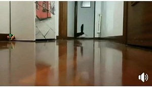 Person no fit sneeze in peace again 🤣😂😂😂 | Central Bank of Jokes(CBJ)