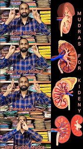 Mudras | 4 Different Mudras For Kidney Problem #kidney #kidneyhealth #yoga #yogamudra #like