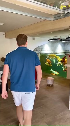 Amazing Indoor Koi Pond! | Fish Tank