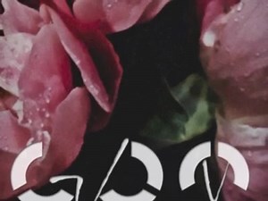 Get Wild (Metal Machine mix) この曲をカバーすると聞いた時は、本当にうれしかったです！ 昔、トランスにはまっていた頃、この曲をサイケトランスにリミックスした事がありました。そのトラックは海を渡り世界中のサイケイベントでプレイされていた時期があり、イスラエルの海辺や、ペルーの日蝕パーティー、パリの郊外のお城を貸し切ったレイヴなどでこのメロディーが流れていたのをおぼえています。 この曲のイントロは、世界中でめちゃめちゃ有名なのです。 特にフランス人はシティーハンターのアニメが大好きで、この曲が流れると、Nicky Larson（ニッキーラーソン）の曲だと騒ぎだします（笑） 冴羽獠 はフランスではニーキーラーソンと言う名前なのです。 これは日本のアニメなんだぞって説明するのが一苦労するほど、フランスで、このストーリーは根が張っています！ その主題歌がTM Networkだと言うと、フランスでコンサートをやるべきだ！と皆口をそろえて言います（笑） 僕のとてつもない大きな夢の１つなのですが、それは、TM Networkとglobeでパリのオリンピアでコンサートをする事