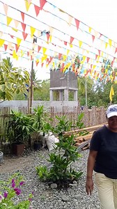 Small cosy beach resort here in my Barangay. . . . #beachresort #beachretreat #beachvibes #niceplacetovisit #Cosy | Aurora Fancubilla