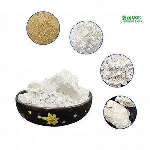 [Hot Item] Premium Diatomite Powder for Beer Filtration - Celite 545