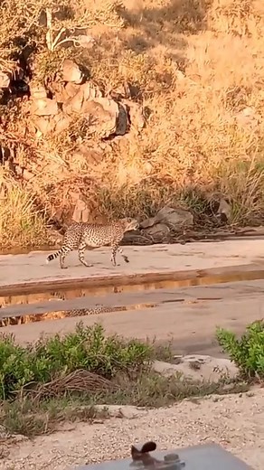 9.4K views · 190 reactions | You never know what you may find within...