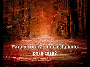 Enya - Long Long Journey Album : Amarantine PT BR : Eduardo Seyki Cult of music | Cult of music