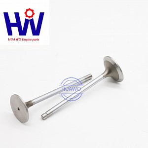 [Hot Item] 04254284 04254284 for Deutz/Khd Engine Valve