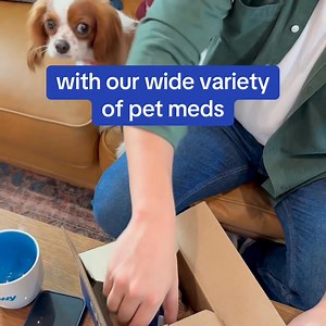 9.8M views · 10K reactions | Help 'em thrive in 2025 with our wide variety of pet meds & essentials. | Chewy | Facebook