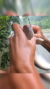 24K views · 452 reactions | pesca de bagre bajo fuerte tormenta | Pesca y Aventura | Facebook