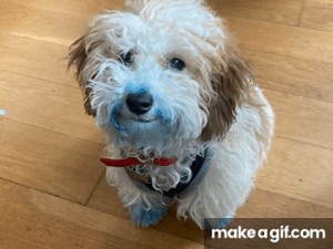 Wink wink on Make a GIF