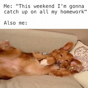 484K views · 2.2K shares | This used to be me... | Smosh | Facebook