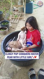 48K views · 561 reactions | Pups and kids share such a special bond ❤️ | 5-Minute Crafts USA | Facebook