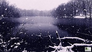 13K views · 85 reactions | More than 120 miles of trails. Dozens of preserves with access points. Endless recreational opportunities. | Forest Preserve District of Will County | Facebook