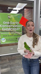 It’s not too late! Show your support for wild parrot conservation by attending our Free Seminar! Tomorrow 6:00pm (Friday, January 26th) a donation of $25 or more to ONE EARTH CONSERVATION gets you 25% off all merchandise tomorrow night as a thank you! Please come! We are sooooo excited!!! LETS SAVE SOME PARROTS !!!!!! **cant attend? Donate NOW - https://gofund.me/41e1871a - 100% of your donation goes to One Earth Conservation!! #parrotstars #conservation #parrotconservation #birdconservation #su