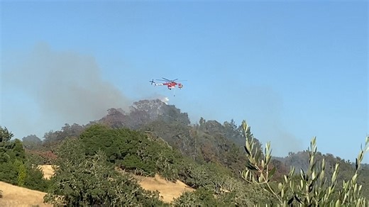 30K views · 450 reactions | #FloraFire UPDATE: Forward progress of the fire has been stopped at approximately 50 acres and it is now 35 percent contained. Crews will remain in the area throughout the night working on increasing containment and extinguishing hot spots. | CAL FIRE Sonoma-Lake-Napa Unit | Facebook