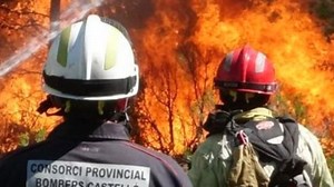 WhatsApp ahora competirá con Zoom y Google Meet: así se podrán programar llamadas y videollamadas