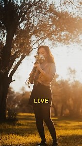 The Law of Attraction - Robert Zink on Reels