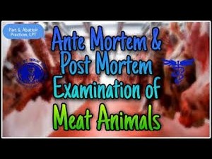 Post-Mortem Inspection (3.14): Dr. Mandal PK