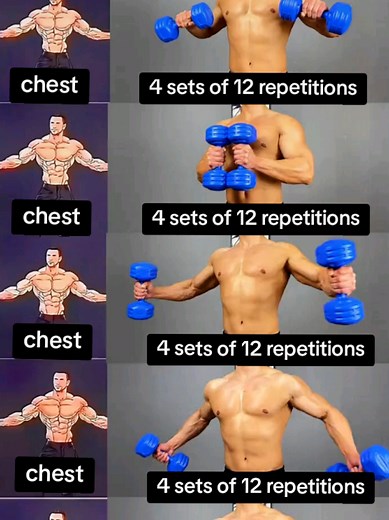 💯💪Five comprehensive exercises for chest muscles #fitness #chest #muscles #dumbbells #gymmotivation