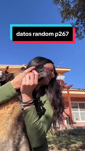 Datos Random Interesantes para Fans de Curiosidades