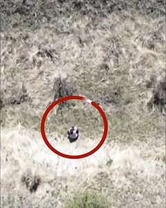 The moment a lost child was found has been captured by a drone. The three-year-old girl ran off from her parents in the US. #lost child #found | The Sentinel | Facebook