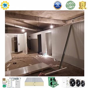 [Hot Item] -40 Degree Blast Freezer 20FT Container Cold Room Cold Storage Cold Room Storage for Shrimp