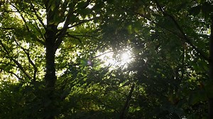 Welcome to the house in the trees 🌲🌳 Viewings have commenced at 9 Lakeland Road. This house nestled in a mature garden has to be seen to be believed and is conveniently located less than 10 minutes from Hillsborough village. ℹ️ For more information or to arrange a viewing contact us 028 9066 3030 💻 https://tinyurl.com/yskl8fzj #contemporaryhomes #northernirishhomes #foursevenhomes #FourSeven #hillsborough #contemporaryarchitecture #sustainableliving #consideredliving | Templeton Robinson Esta