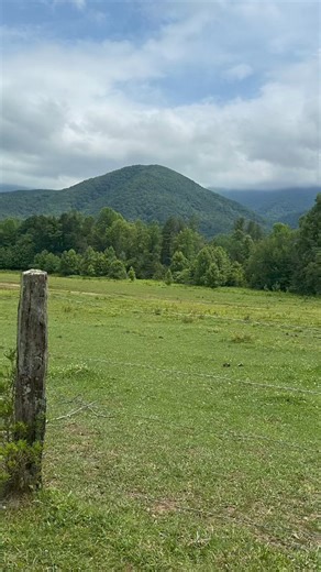 7.1K views · 414 reactions | A few of what we saw in Cades Cove on Sunday afternoon. #TN #cadescove #greatsmokymountains | Kyle Grainger WVLT | Facebook