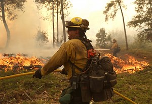 California Fire Map, Updates as Oak Fire Rages by Yosemite National Park