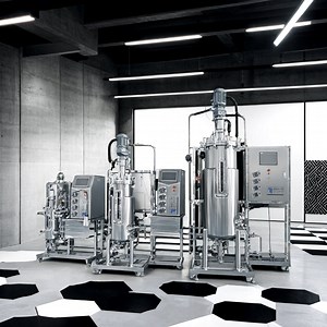 [Hot Item] Stainless Steel Fermenter Biological Seed Fermenter Lab Stainless-Steel Reactor Pilot Scale Fermentor Reactor