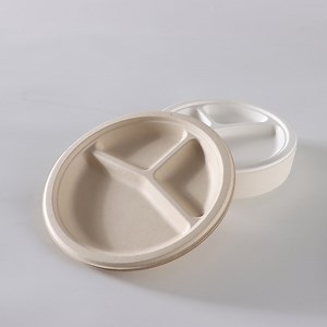 [Hot Item] Portable Food Containers Biodegradable Bagasse Pulp Disposable 9-Inch Trays
