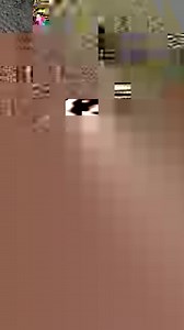 Asus ProArt PA602 | Commix Store