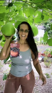 Hey Darlin! Here are 10 fun facts about the bushel gourd:1. The bushel gourd is a type of plant that belongs to the Cucurbitaceae family, which also includes cucumbers, pumpkins, and watermelons.2. This gourd is one of the largest in the world, with some specimens growing up to four feet long and weighing over 100 pounds.3. Bushel gourds have a thick, hard outer shell that can be used to make durable containers, bowls, and utensils.4. The flesh of the bushel gourd is edible, and is sometimes use