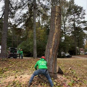  Tree Service project in  Lawrenceville, GA . Call us for a free estimate ☎️(678) 457-3487 ☎️(678) 677-9102 . . . #trees #treeremoval #treework #arborist | Jireh Tree Services & Landscaping | Facebook