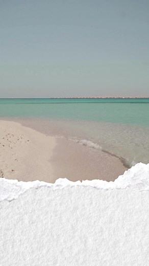 Seek wisdom with the intensity of searching for silver and hidden treasure, as guided by Proverbs 2:4. #Proverbs24 #SeekWisdom | Larisa Dickson