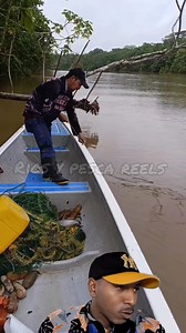 17K views · 308 reactions | Nuca vi un pez con esa fuerza #fishing #viralchallenge #pesca #videoviral | rios y pesca reels | Facebook