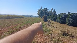 5.3K views · 101 reactions | CHÁCARA 18.000 m² BELA VISTA PARA O...