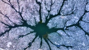 【风光】三月序章，冷暖交替，不冻湖现大地之树，以自然之力，赴山河之约。#搜狐视频关注流2025影像大赛 @张朝阳 @一只飞鸿 @涛姐是女神 @我身上有wifi @高速公鹿 @刘奕君 @Cici怎么被占用了 @摄影狐 @春华姐姐 @子卿文史站 @演员明莉 @狐言岁语 @小狐