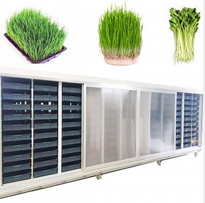 [Hot Item] High Quality Automatic 500kg\Day Seed Sprouting Machine for Factory