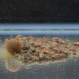 How to use DT Bait Developments DNA Liquid Stimulant... | CARPology Magazine