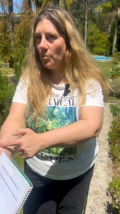 11K views · 585 reactions | Romero Rosmarinus officinalis - Malvarosa Pelargonium graveolens. y Caléndula- Calendula officinalis -Sus múltiples y variados usos | Herboristería Marión Aguilera | Facebook