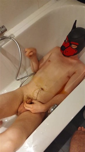 pup in bathtub yellow self piss